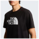 The North Face Ανδρική κοντομάνικη μπλούζα Evolution Half Dome Regular T-Shirt